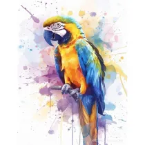 Koh-I-Noor Malowanie po numerach - Papuga 40x50cm