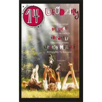 AbCard Kartka okoliczno�ciowa Urodziny 14 U92