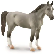 Ko� Marwari Stallion szary