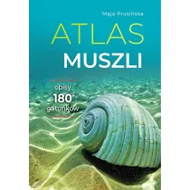Atlas muszli