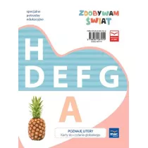 Zdobywam �wiat. Poznaj� litery - karty do czytania