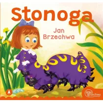 Stonoga