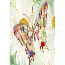 Turnowsky Karnet B6 + koperta Motyl kwiaty