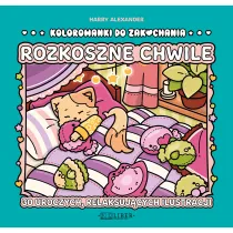 Kolorowanki do zakochania. Rozkoszne chwile