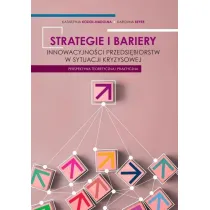 Strategie i bariery innowacyjno�ci przedsi�biorstw