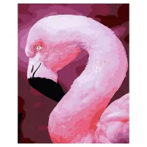 Twoje Hobby Malowanie po numerach - Flaming 40x50cm