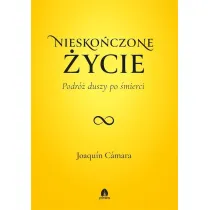 Niesko�czone �ycie. Podr� duszy po �mierci