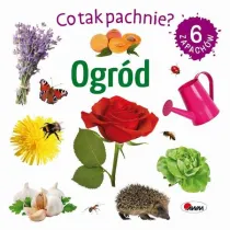 Ogrd. Co tak pachnie?