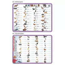 Visual System Podkadka edukacyjna 04. Animals - jzyk angielski