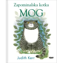 Zapominalska kotka Mog