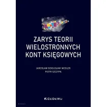 Zarys teorii wielostronnych kont ksi�gowych