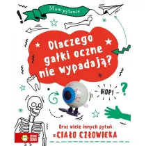 Mam pytanie . Dlaczego gaki oczne nie wypadaj?