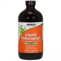 Now Foods Chlorophyll - Chlorofil w pynie Suplement diety 473 ml