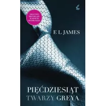 Pidziesit twarzy Greya. Tom 1