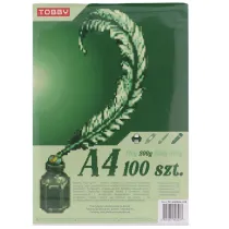 Papier Brystol A4 100 ark.200g