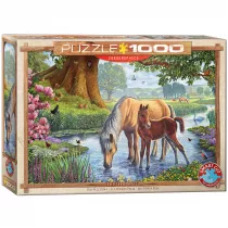 Puzzle 1000 el. Dzikie koniki, Steve Crisp Eurographics