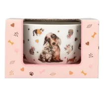 Depesche Miseczka w ozdobnym pude�ku Top Model Fur Ever Friends 13867A