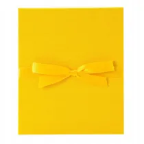 Album harmonijka YELLOW