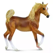 Klacz rasy arabskiej maci Golden Chestnut