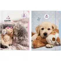 Beniamin Teczka z gumk A4 The Sweet Pets Kids