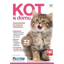 Kot w domu