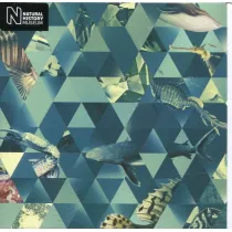 Museums & Galleries Karnet kwadrat z kopert� Sealife