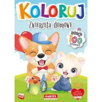Zwierz�ta domowe. Koloruj