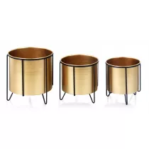 Mondex Komplet 3 osonek na stojaku Swen Gold