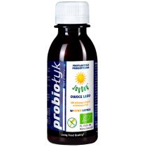 Joy Day Napój probiotyczny Owoce lasu bezglutenowy 125 ml Bio