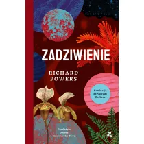 Zadziwienie