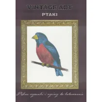 Vintage art Ptaki