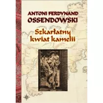 Szkaratny kwiat kamelii