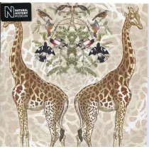 Museums & Galleries Karnet kwadrat z kopert� Giraffe