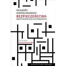 Meandry wsp�czesnego bezpiecze�stwa