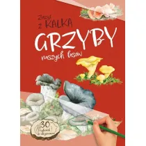 Grzyby Naszych Lasw. zeszyt z kalk