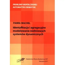 Identyfikacja i agregacyjne modelowanie...