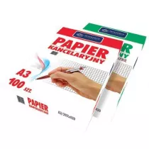Interdruk Papier kancelaryjny A3 100 kartek
