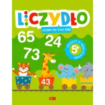 Liczydo. Liczby od 1 do 100