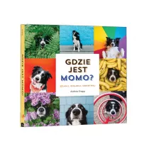Gdzie jest Momo?