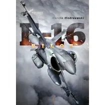 Pilot F-16