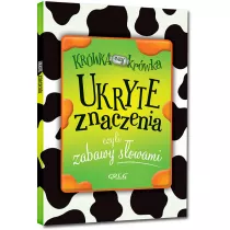 Ukryte znaczenia, czyli zabawy sowami