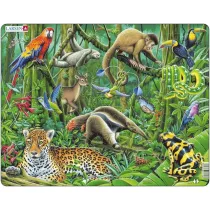 Puzzle 70 el. Po�udniowoameryka�skie lasy deszczowe Larsen