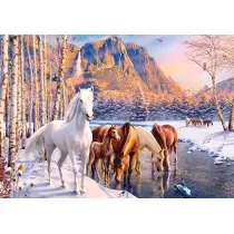 Puzzle 500 el. Winter Melt Castorland