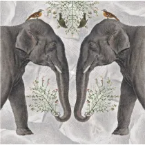 Museums & Galleries Karnet kwadrat z kopert� Indian Elephant