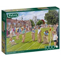 Puzzle 1000 el. Falcon. Dzie Sportu Jumbo
