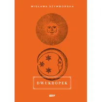 Dwukropek