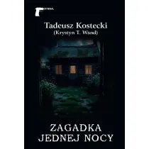 Zagadka jednej nocy
