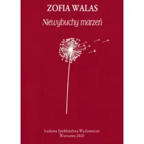 Niewybuchy marze�