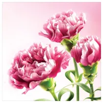 Art Nuvo Karnet kwiatowy KW FF64 r�owe go�dziki
