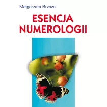 Esencja numerologii
